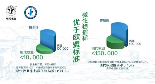 开云- 法兰克福主场灯光升级，欧战资格赛获高度认可